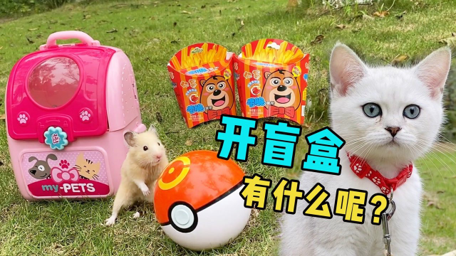 腾讯视频