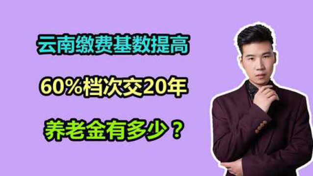 云南的社保最低缴费基数,提高至3770元,交20年能领多少养老金?