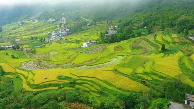 风光旖旎的田野