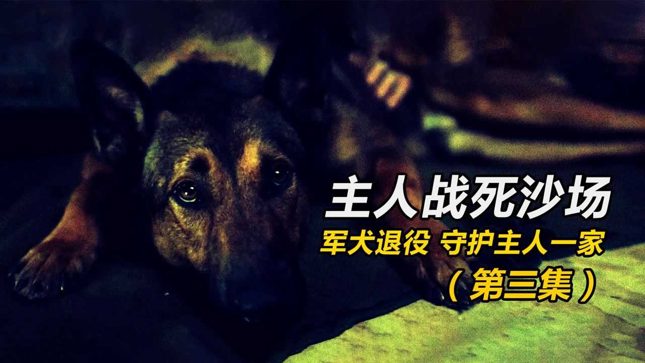 《军犬麦克斯》第3集._高清1080p在线观看平台_腾讯视频