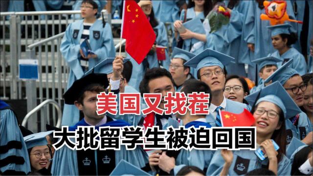 遭美国高校粗暴劝退,中国留学生才开学就要被遣返,中领馆已介入