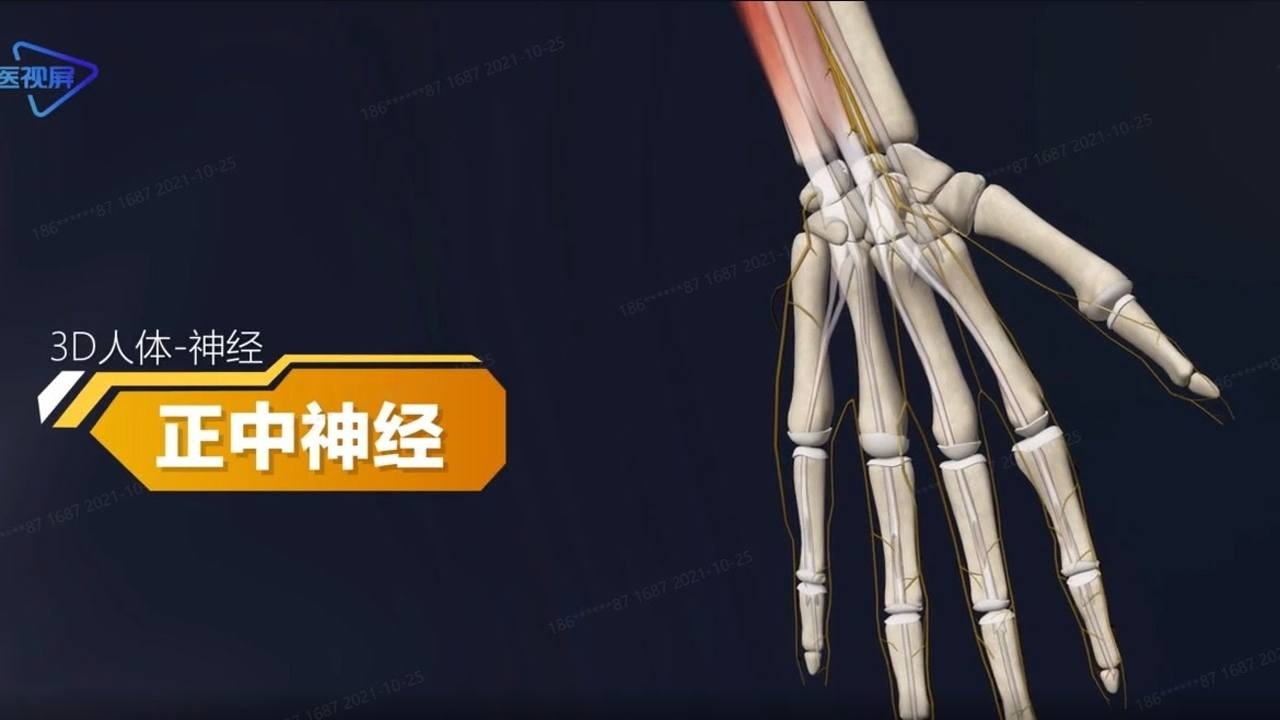 3D动画-正中神经_高清1080P在线观看平台_腾讯视频