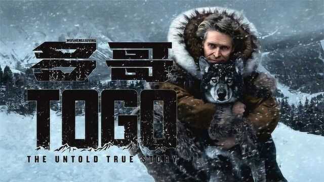 多哥:真实事件改编,人类忠诚的朋友#高分电影#电影解说