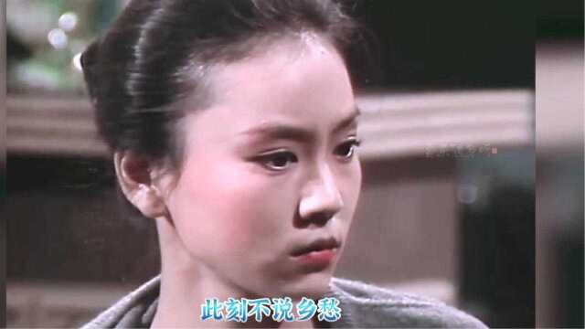 40年前的刘雪华太美了,那时还没有演琼瑶剧,这才是颜值巅峰