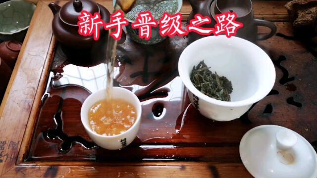 新手晋级之路 慢慢提高茶品质