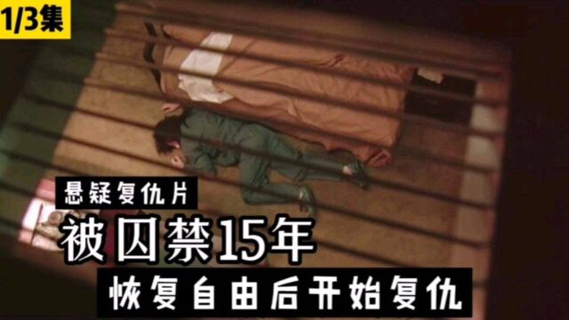 男子被囚禁15年,自由后开始复仇,悬疑片