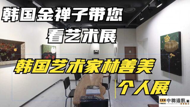 韩国金禅子带您看艺术展,韩国艺术家林善美个人展,大理美术馆 @韩通社@韩国移民@李子移民@韩国李子移民@华侨生联考@韩国存款移民