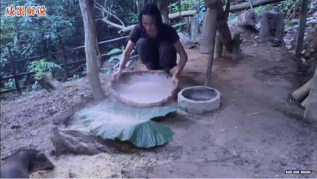 雨林生存挑战,今天小哥自己打野生稻米,制作野生稻米番茄饭,馋坏二师兄了#野外生存