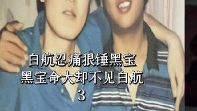 黑宝子VS白航事件始末,3,白航忍痛狠锤黑宝,黑宝命大白航折了