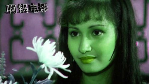 邵氏经典武侠电影，由张彻导演，讲述一个女忍者的悲惨故事