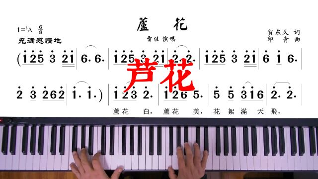 《芦花》钢琴即兴演奏,成年人学钢琴,雷佳演唱的歌曲