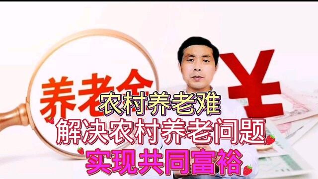 农村养老难,解决农村养老问题,实现共同富裕