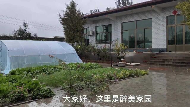 河北连续阴雨天,70老师洗花盆托有妙招,省时省力还省水#生活Velog