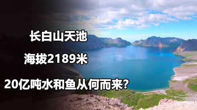 长白山天池海拔2189米,水和鱼无法到这里,20亿吨水和鱼咋来的?