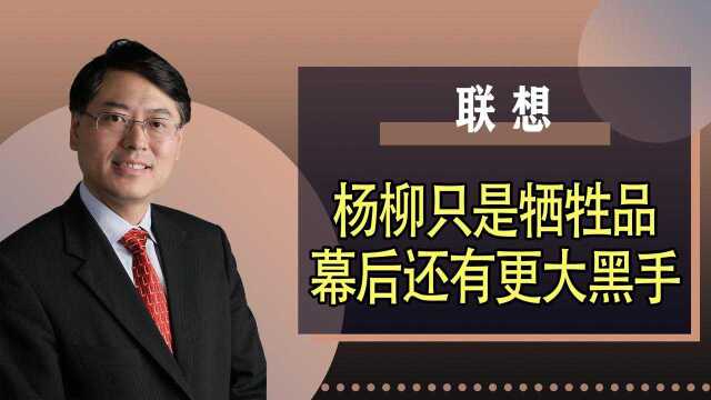 杨柳二人只是表象?幕后21家股东才是真正大佬,他们到底什么来头