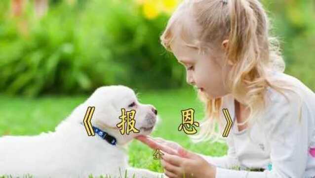 报恩(全)