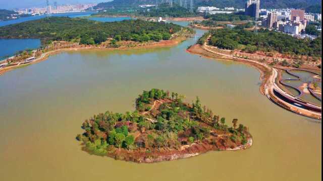 我在石岩湖湿地公园,拍到了全深圳最孤独的爱心岛