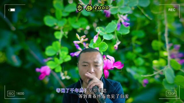 学唱经典老歌,音乐教父罗大佑的《恋曲2000》