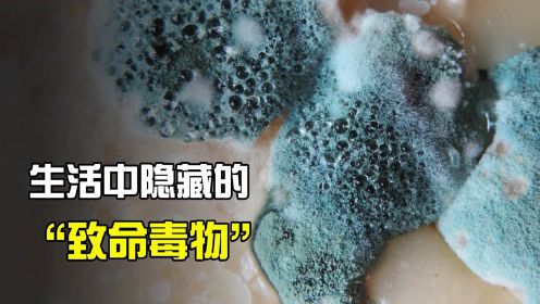 生活中隐藏的“致命毒物”，如果你不小心吃了“霉菌”，会发生什么？