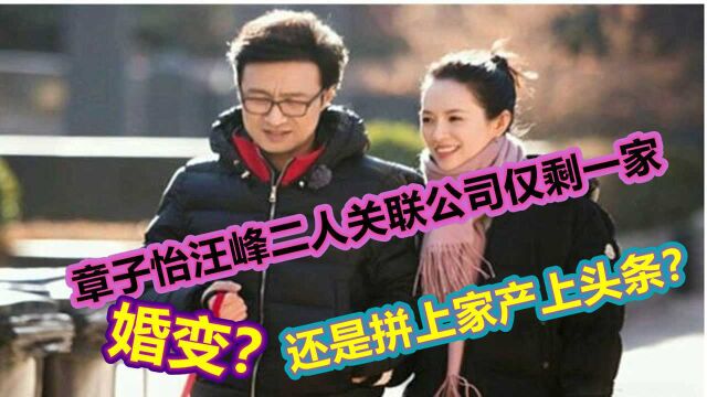 章子怡汪峰关联公司仅剩一家 ,婚变?还是拼上家产上头条