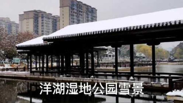 皑皑白雪中的长沙洋湖湿地公园