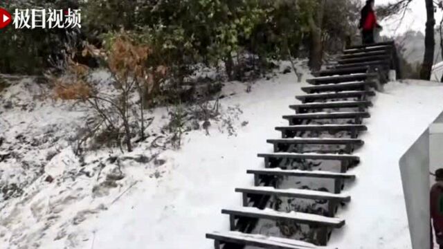 武汉最高海拔的清凉寨下起大雪