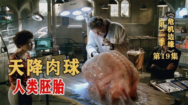 《危机边缘》肉球里居然藏着人?