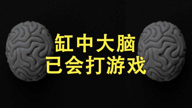 培养皿里的人脑细胞学会打游戏?学习能力比AI强太多了