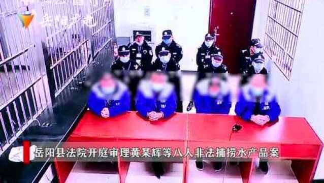 诉!黄某辉等8人非法捕捞水产品案