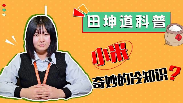 小米竟然也分这么多种?你都知道吗