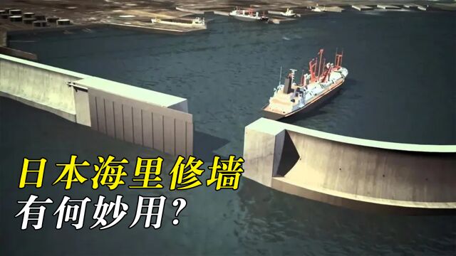 日本是如何抵挡海啸的?耗资800亿修筑“水泥长城”,它真的有用吗?