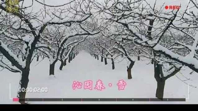 北国春光,千里冰封,万里雪飘……