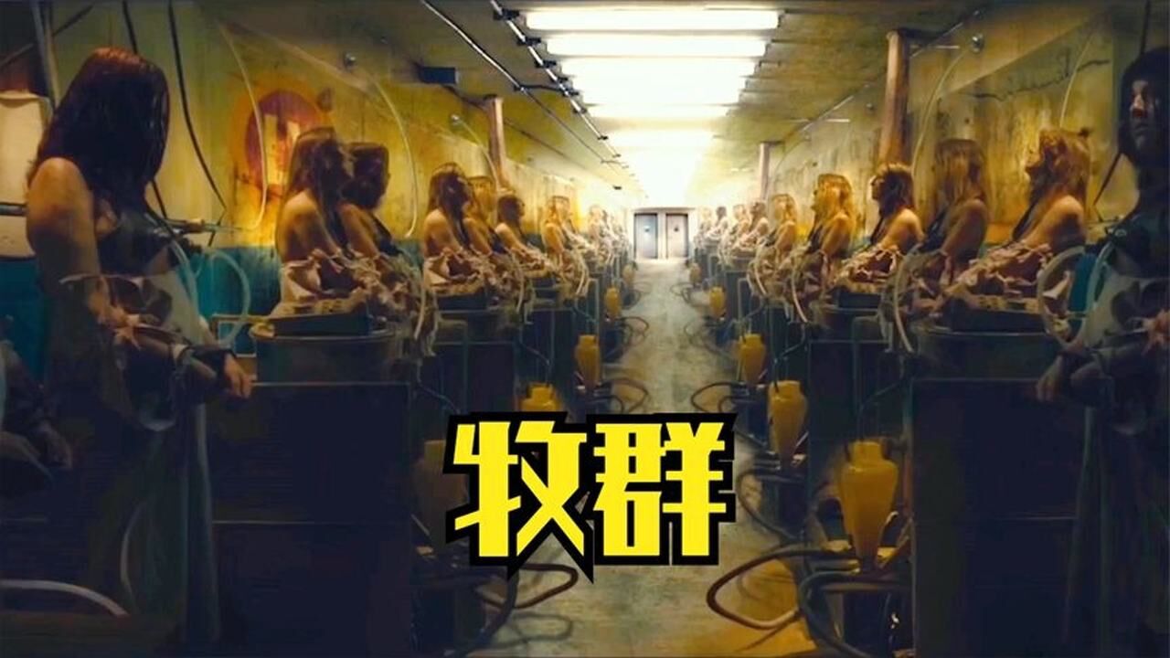 被当成奶牛圈养的女人，一旦生下孩子，便要戴上挤奶器！_高清