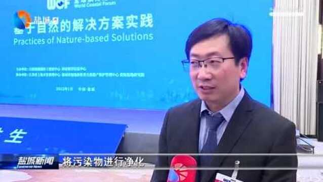 专家学者在盐深入交流基于自然的解决方案(NbS)实践