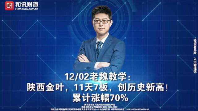 12/2号 陕西金叶教学