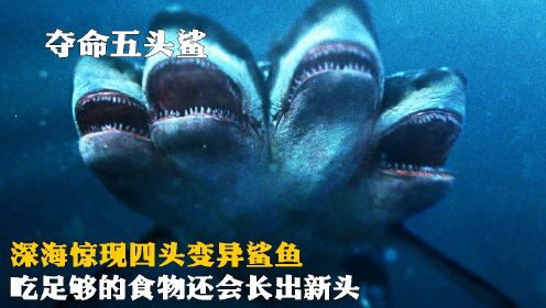 深海惊现四头变异鲨鱼，疯狂袭击游客，吃足够的食物还会长出新头