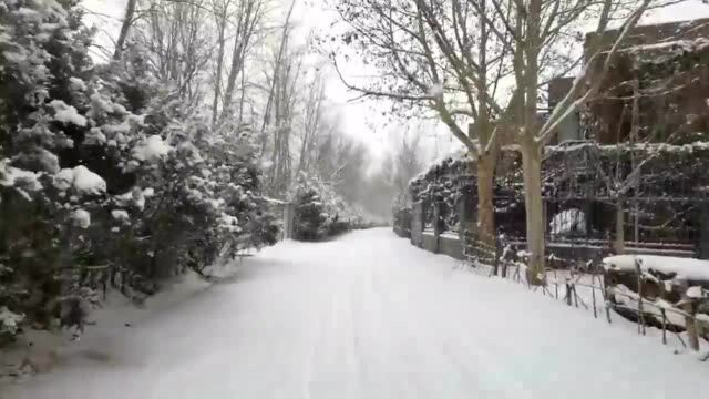 雪花漫天!北京北部北七家银装素裹