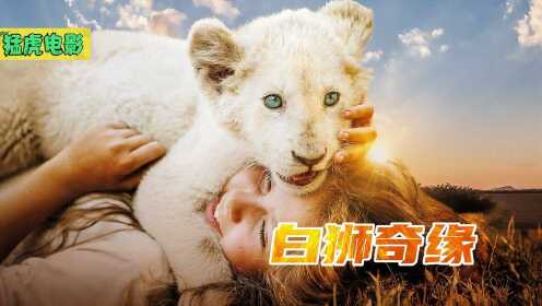 全程用真狮子，耗时三年拍摄完成，一头白狮和小女孩的故事。