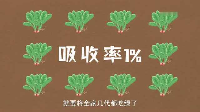 吃菠菜补铁,背后真相是大力水手的传说