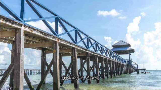 贝雷片租赁 贝雷片安装 贝雷片拆除 贝雷片施工 钢便桥安拆 钢便桥施工 钢支撑租赁 钢板桩租赁