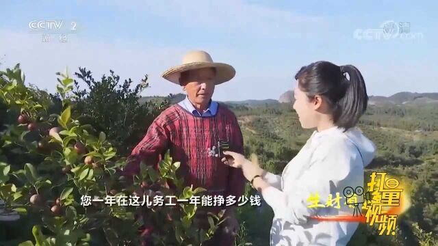 大爷将土地流转给油茶公司经营,每年务工还收入一万元