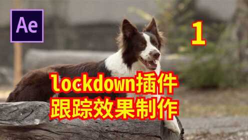 lockdown插件跟踪效果制作1