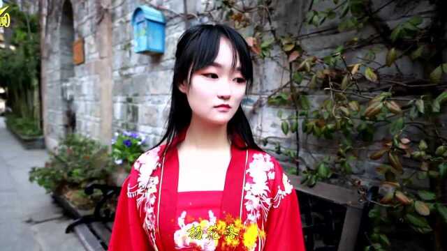 杨花落尽子规啼【林子影视张洵汉服MV】