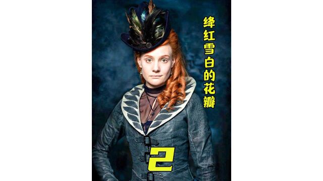 复仇女神与救赎天使共存于一体,绛红雪白的花瓣《2》