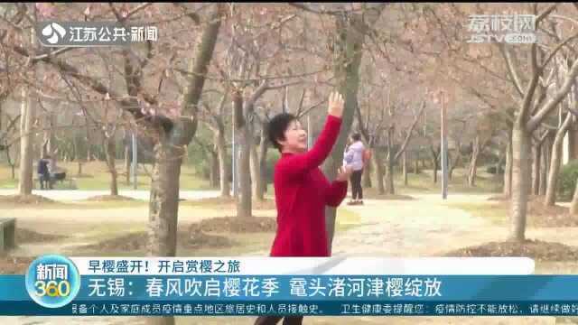 南京:中山植物园早樱盛开 樱花大道邀您打卡