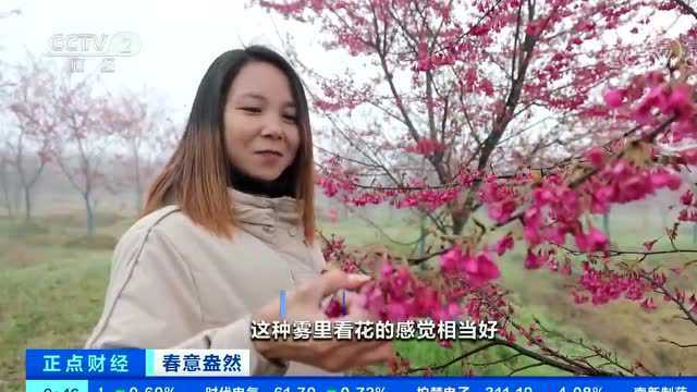 九江,最近频频在央视“刷屏”