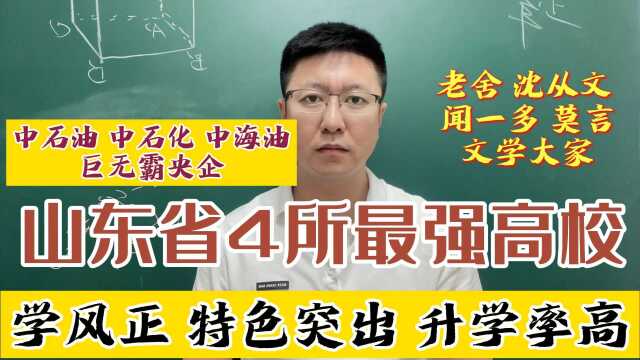 山东省4所强势大学