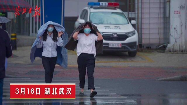 下午2点半,芦沟桥路降大雨,市民用外套遮头挡雨