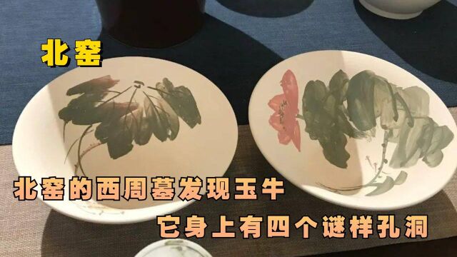 北窑的西周墓发现玉牛,它身上有四个谜样孔洞,究竟是干什么用的