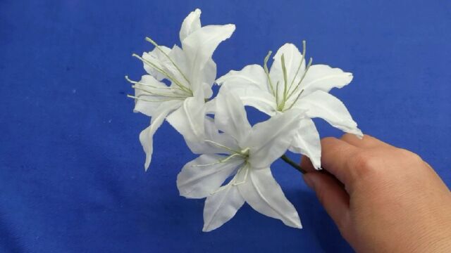 用卫生纸做百合花教程,简单好看又,创意纸艺手工花,纸巾花详解,你也试